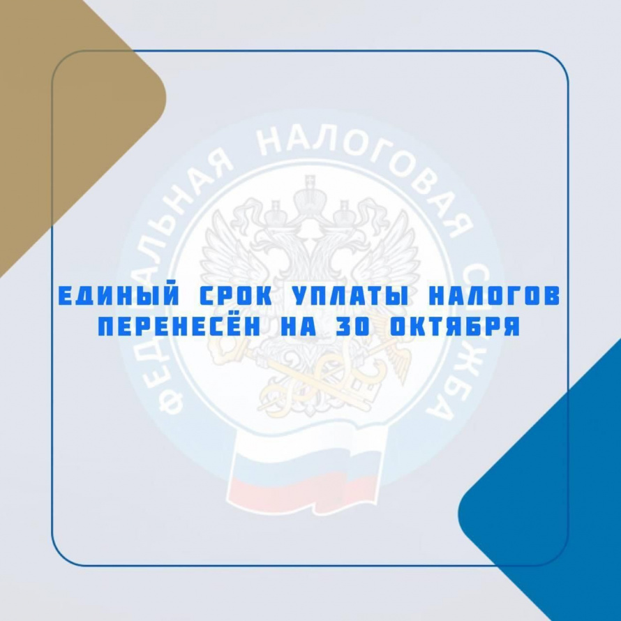 Единый срок уплаты налогов перенесён на 30 октября