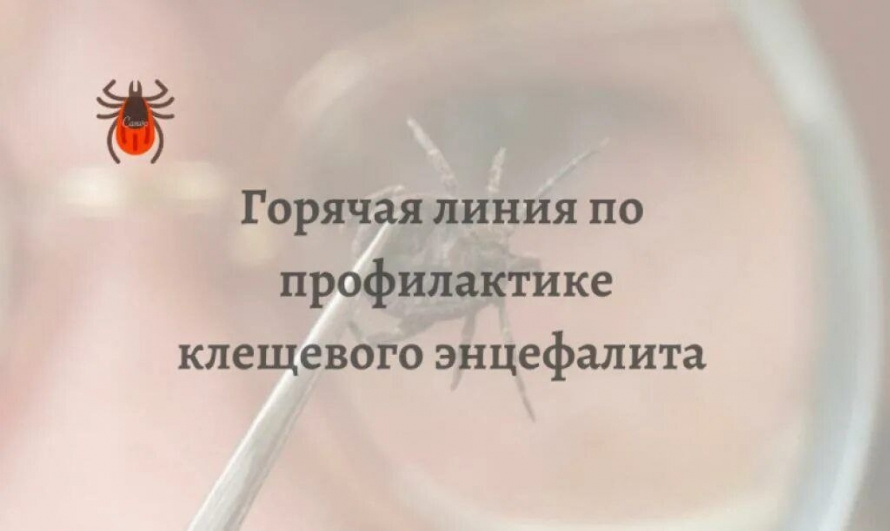  «Горячая линия» Управления Роспотребнадзора по Приморскому краю по вопросам профилактики клещевого энцефалита