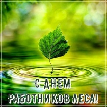 Уважаемые работники и ветераны лесной отрасли Анучинского округа!