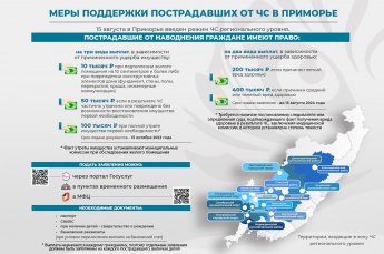 Приморцы могут получить выплаты за вред здоровью, причиненный в ходе ЧС