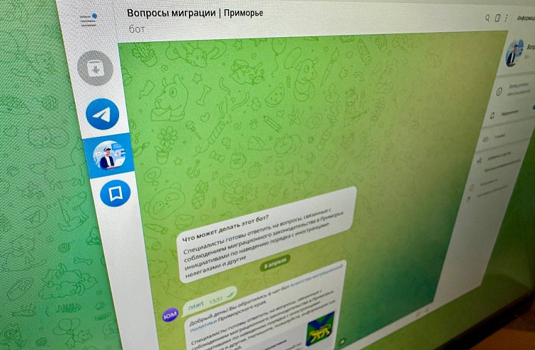 Чат-бот по миграции заработал в Приморье