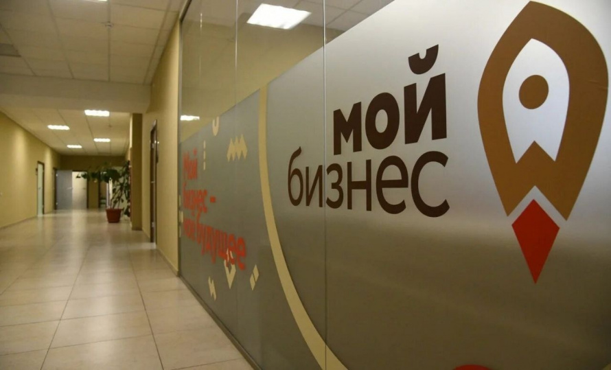 Проведение онлайн-трансляций обучающих мероприятий на портале МСП Приморского края