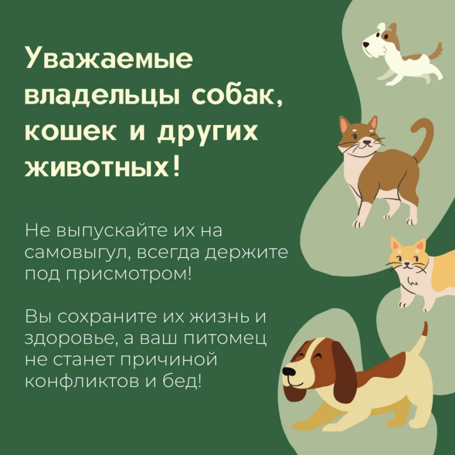 За самовыгул собак в Приморье наказывают по всей строгости