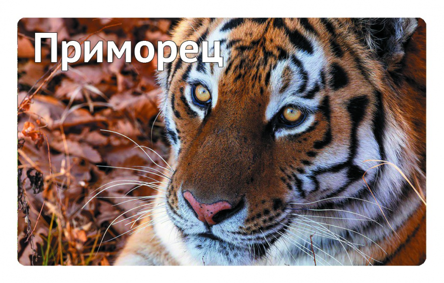 Единая карта жителя Приморского края (Карта "Приморец")