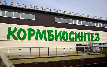 Курс на импортозамещение: Биологически ценные ингредиенты для животных будут выпускать в Приморье
