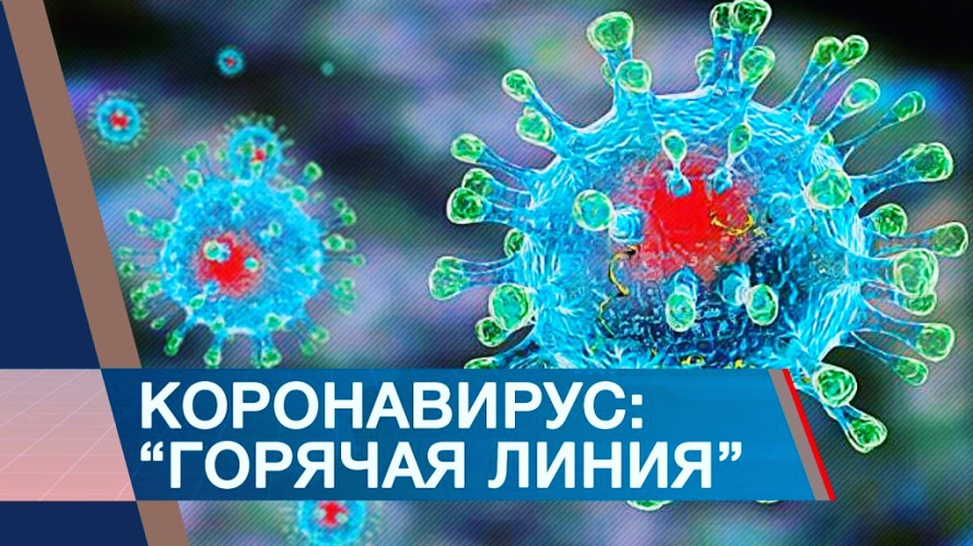 В Анучинской Центральной районной больнице по адресу: с. Анучино, ул. Лазо,18 работает телефон горячей линии. В рабочее время обращаться по телефону: 8(42362)91-6-80. Круглосуточно: 8(42362)91-6-75, 8-964-452-08-45.