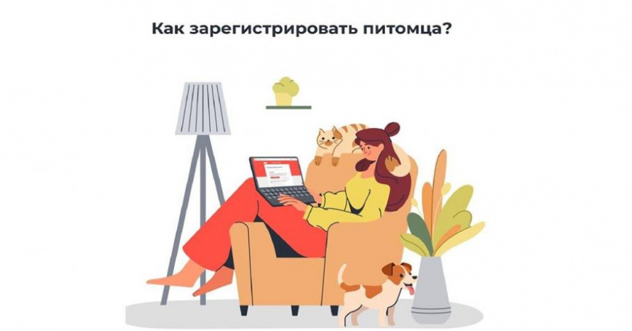 ПОРЯДОК РЕГИСТРАЦИИ ДОМАШНИХ ЖИВОТНЫХ НА ТЕРРИТОРИИ ПРИМОРСКОГО КРАЯ