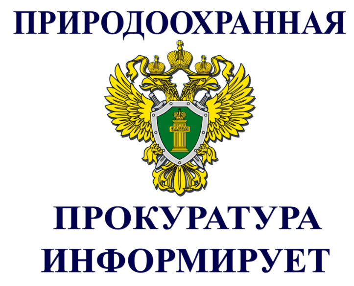 Владивостокская межрайонная природоохранная прокуратура информирует