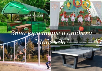 Зона культуры и отдыха будет благоустроена в Гродеково в рамках инициативного бюджетирования по направлению «Молодежный бюджет»