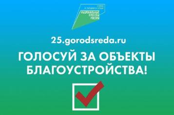 Менее двух недель осталось у приморцев до конца голосования за скверы и парки для благоустройства
