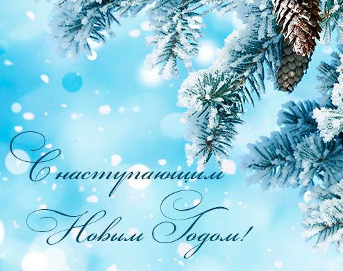 Поздравление с наступающим Новым 2025 годом