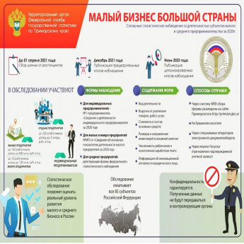 Анкетирование субъектов малого и среднего предпринимательства будет проводиться в электронном виде до 1 апреля 2021 года.