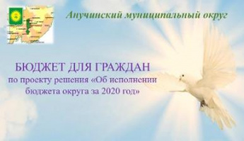 Бюджет для граждан пол проекту об исполнении бюджета АМО за 2020 г.