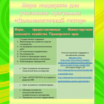 Меры поддержки для участников программы «Дальневосточный гектар» 