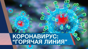 В Анучинской Центральной районной больнице по адресу: с. Анучино, ул. Лазо,18 работает телефон горячей линии. В рабочее время обращаться по телефону: 8(42362)91-6-80. Круглосуточно: 8(42362)91-6-75, 8-964-452-08-45.