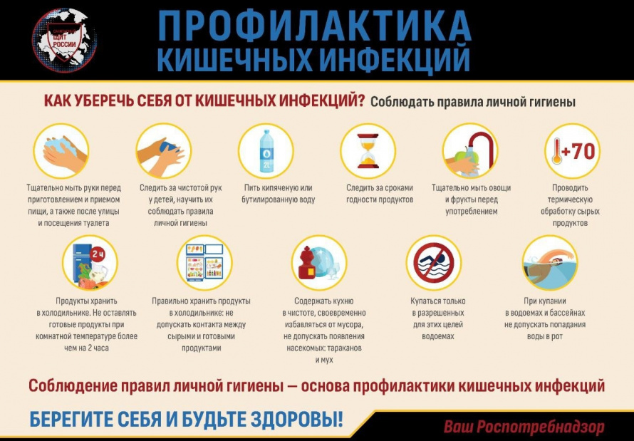  Роспотребнадзор информирует: профилактика кишечных инфекций