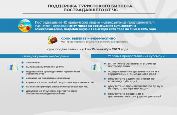 Меры поддержки представителей туротрасли, пострадавших от ЧС, приняли в Приморье