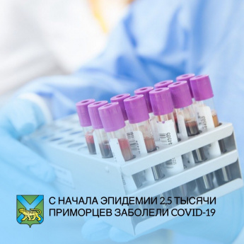 За последние сутки в Приморье зарегистрировано 58 случаев коронавируса с нарастающим итогом 2 500 случаев.