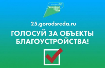 Голосование за объекты благоустройства в городах и поселках Приморья продолжается