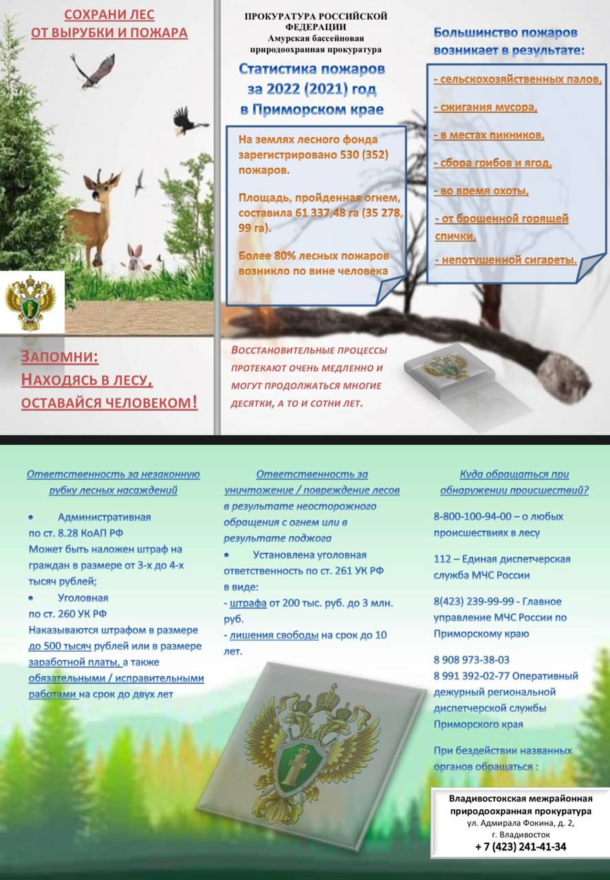 Охрана лесов от пожаров в наших руках!