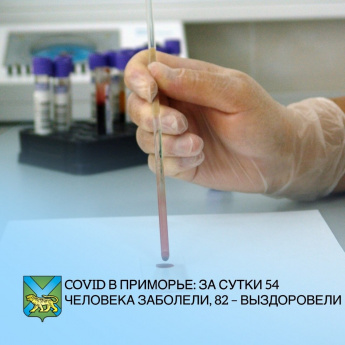 За истекшие сутки в Приморье зафиксировано 54 новых случая коронавирусной инфекции, с нарастающим итогом – 2103. Справились с COVID-19 еще 82 человека. Всего с начала эпидемии вылечились 1160 приморцев