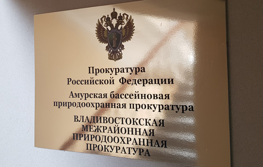 Прием граждан осуществляется сотрудниками Владивостокской межрайонной природоохранной прокуратуры.