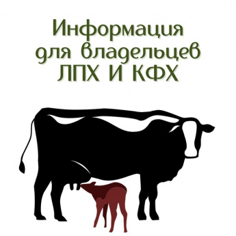Площадки для реализации сельхозпродукции.