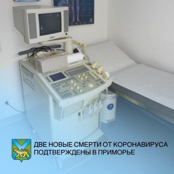 Еще два человека умерли от коронавируса в Приморском крае. Всего в регионе число жертв инфекции достигло 14 человек