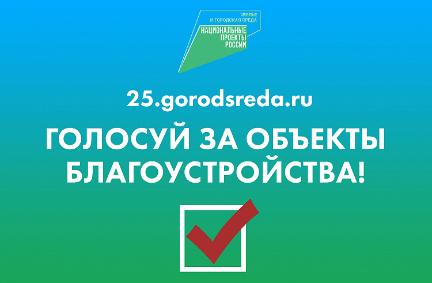 Голосование за объекты благоустройства в городах и поселках Приморья продолжается