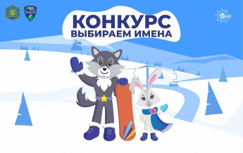 Стартует конкурс на лучшее имя для талисманов зимних игр «Дети Приморья»