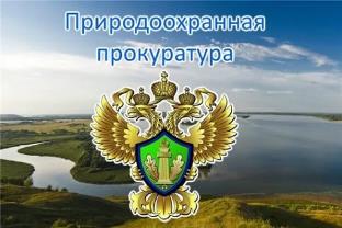 Первый заместитель Амурского бассейнового природоохранного прокурора проведет личный прием предпринимателей в г. Владивостоке Приморского края