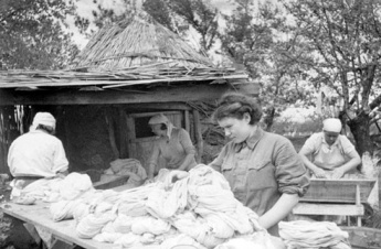 Санитарно – эпидемиологическая служба в годы  Великой Отечественной войны﻿