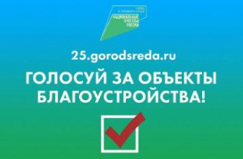 Менее двух недель осталось у приморцев до конца голосования за скверы и парки для благоустройства