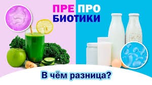 Пребиотики и пробиотики: разобраться и найти отличия