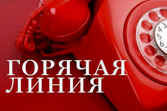 О работе «горячей линии»