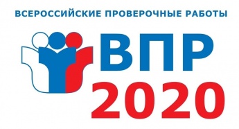 Всероссийские проверочные работы, которые были запланированы, но не проведены в прошлом учебном году для учащихся 4-8 классов по причине короновирусной инфекции, пройдут с 14 сентября по 12 октября 2020 года