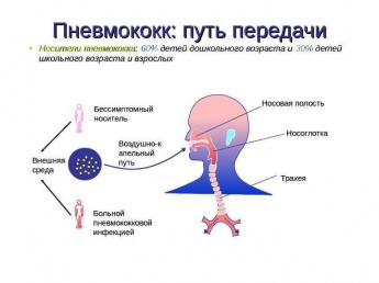 КГБУЗ "Анучинская ЦРБ" проводит бесплатную вакцинацию взрослого населения против пневмококковой инфекции.