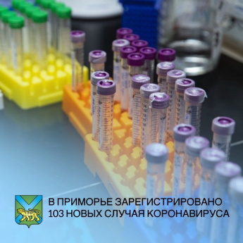 За минувшие сутки выявлено 103 новых случая коронавируса в Приморье. Всего с начала эпидемии – в крае 3 373 заболевших, темп прироста 3,15%.