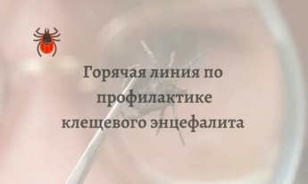  «Горячая линия» Управления Роспотребнадзора по Приморскому краю по вопросам профилактики клещевого энцефалита