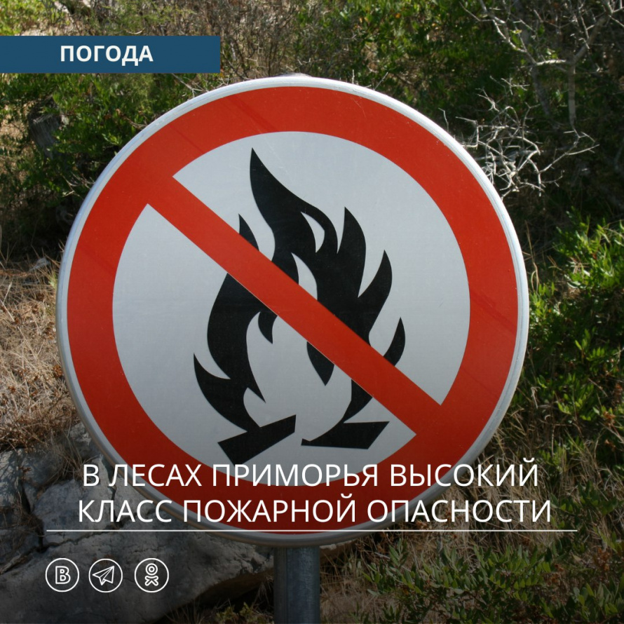 В лесах Приморья высокий класс пожарной опасности