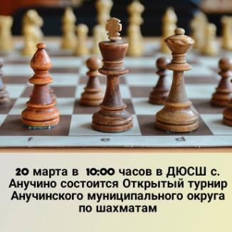Открытый турнир по шахматам
