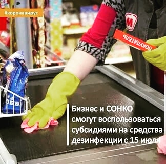 О выделении Казначейству России из резервного фонда средств в размере 20 млрд рублей на проведение профилактических и дезинфекционных мероприятий для субъектов МСП и социально ориентированных НКО, работающих в определенных отраслях.