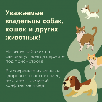 За самовыгул собак в Приморье наказывают по всей строгости
